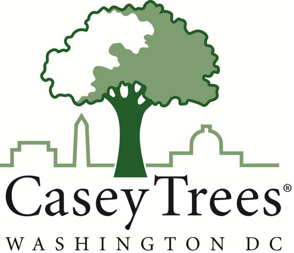 Casey Trees